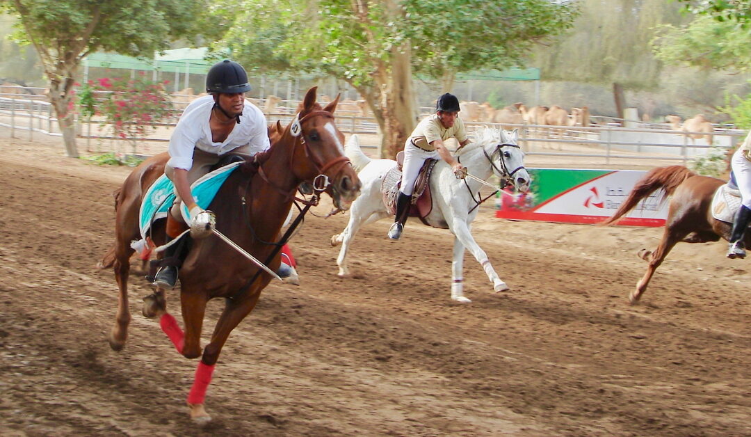 Equestrianism to mobilise opposition to slavery in mounted sports