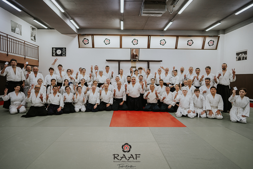 Aikido for peace